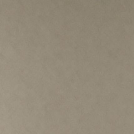 Tints 20528